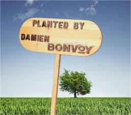 Glass-Crafted Signages